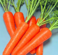 深圳鵬程醫院--疤痕修復手術後飲食上要注意些什